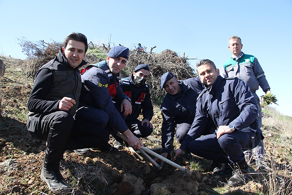 Kula’da şehitler anısına fidan dikildi
