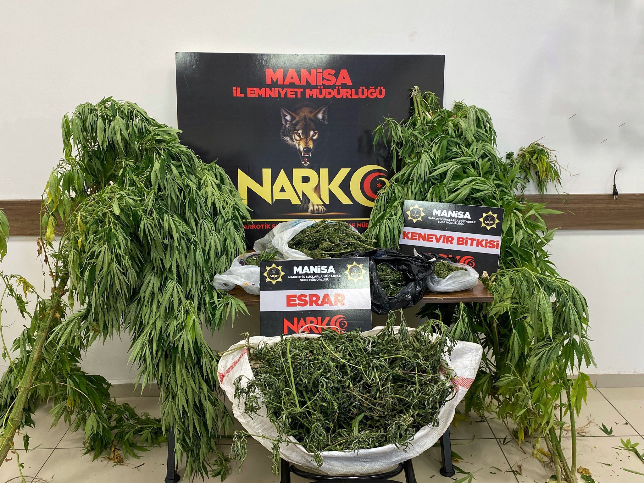 6 kilo 262 gram Esrar maddesi Ele Geçirildi