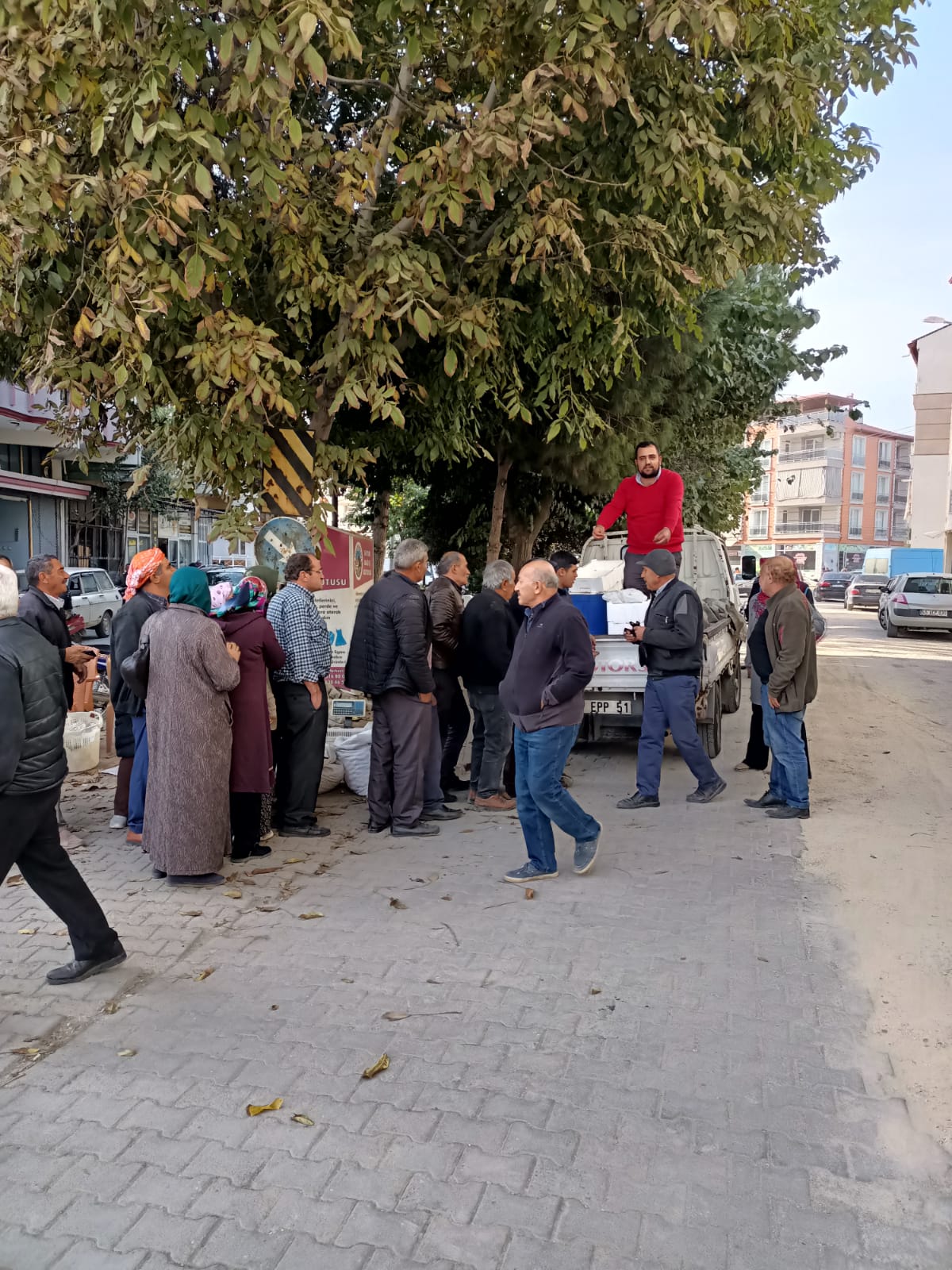 Kula’da 1 Ton Ücretsiz Sardalya ve Hamsi Dağıtıldı