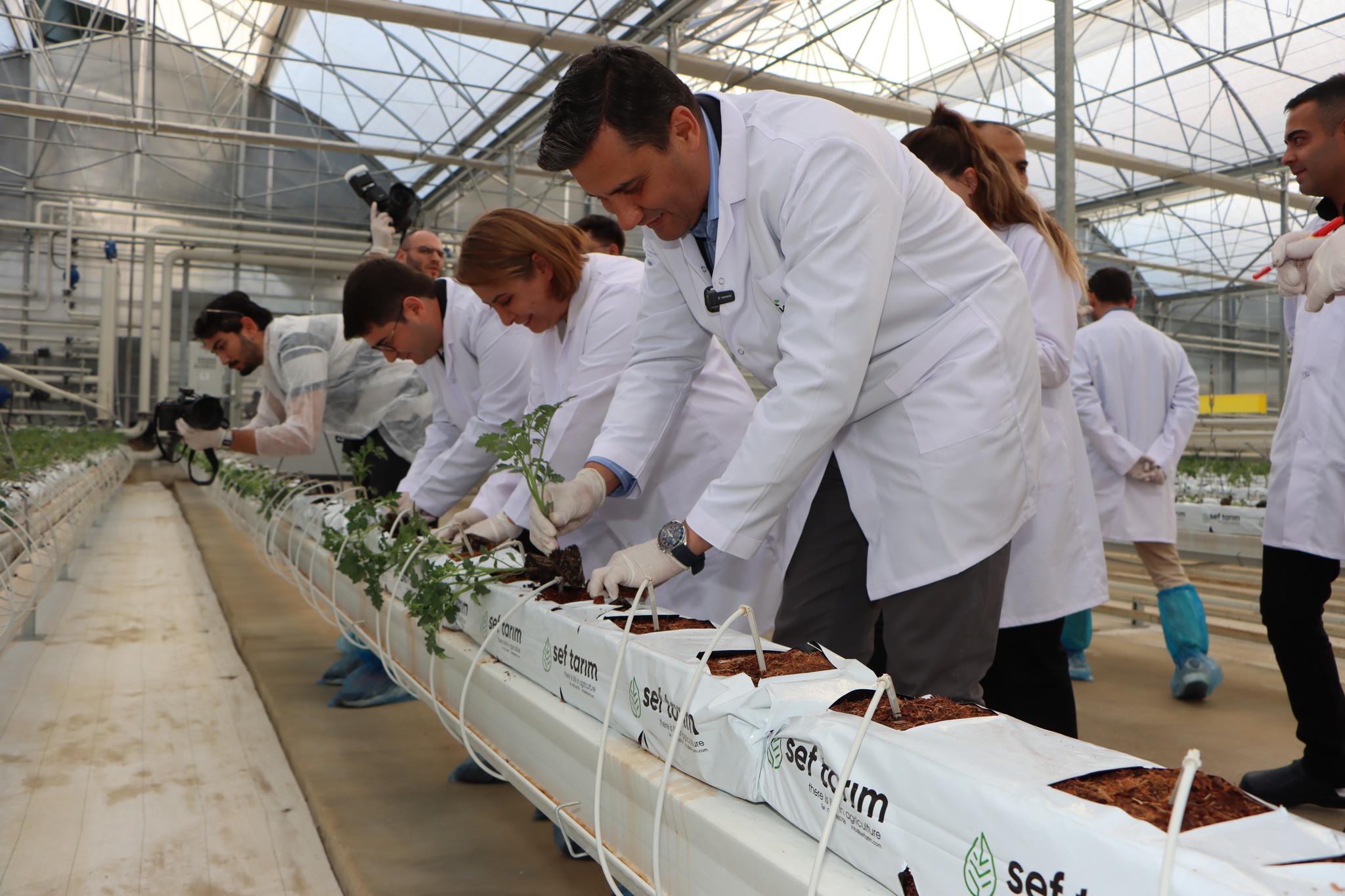 Kula Jeotermal Serada 145 bin Kök Domates Fidesi Toprakla Buluştu