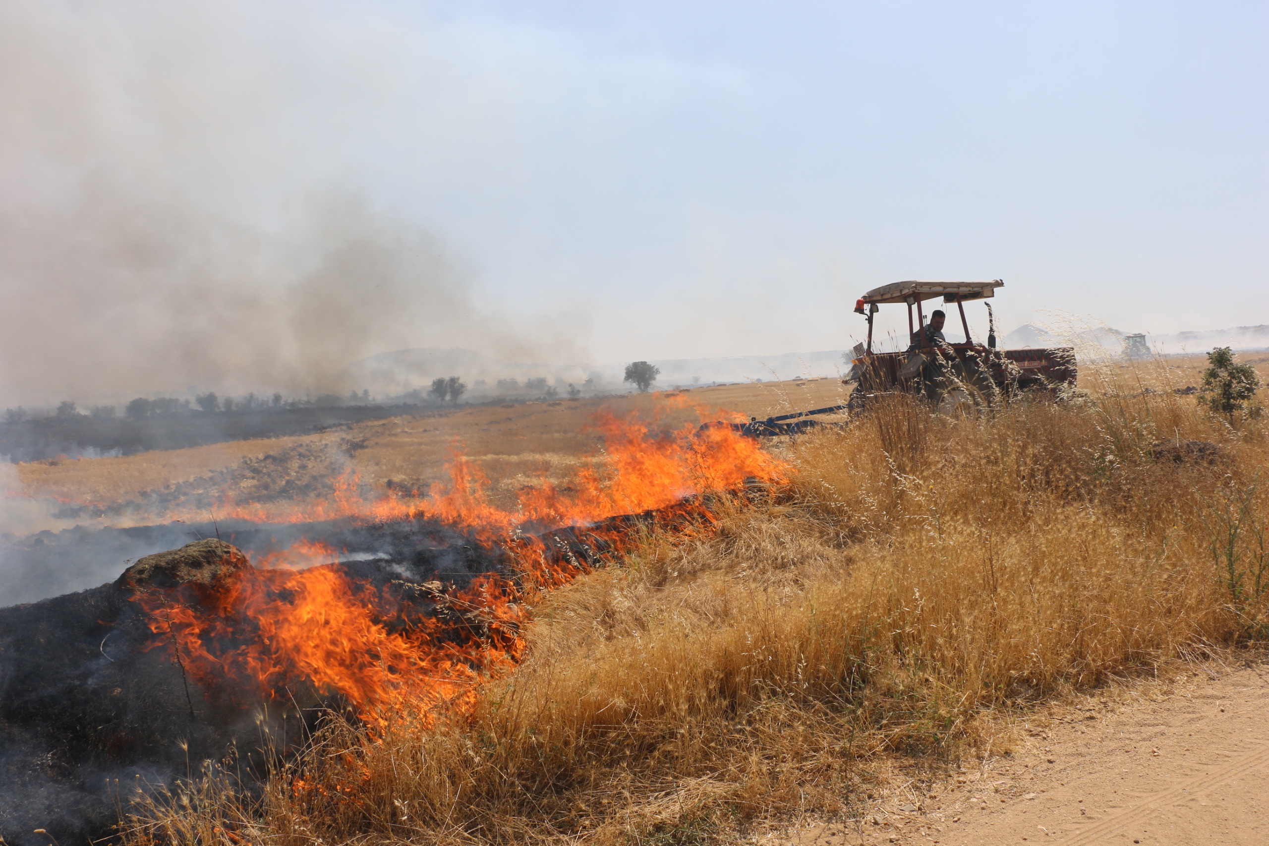 BUĞDAY TARLASINDAKİ YANGIN KORKUTTU