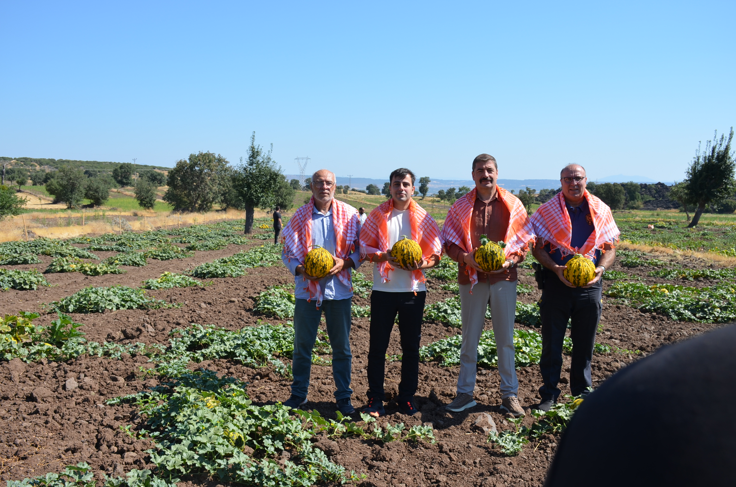 KULA AYVATLAR MAHALLESİ’NDE KAVUN HASADI GERÇEKLEŞTİ