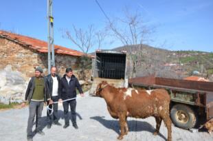 KULA’DA YILDIRIMIN YARALARINI AK PARTİ TEŞKİLATI SARDI